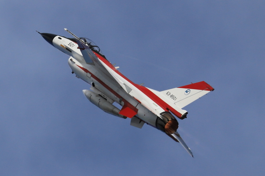 2023 岐阜基地航空祭　土曜日　F2
