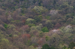 近所の風景