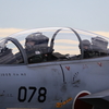 岐阜基地航空祭 2024  F15