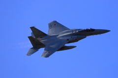2019 岐阜基地航空祭　F15