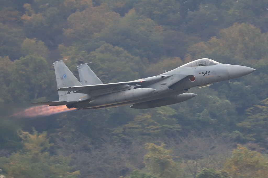 2022 岐阜基地航空祭　Ｆ15