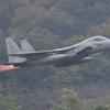 2022 岐阜基地航空祭　Ｆ15