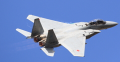 2017 岐阜基地航空祭　F15