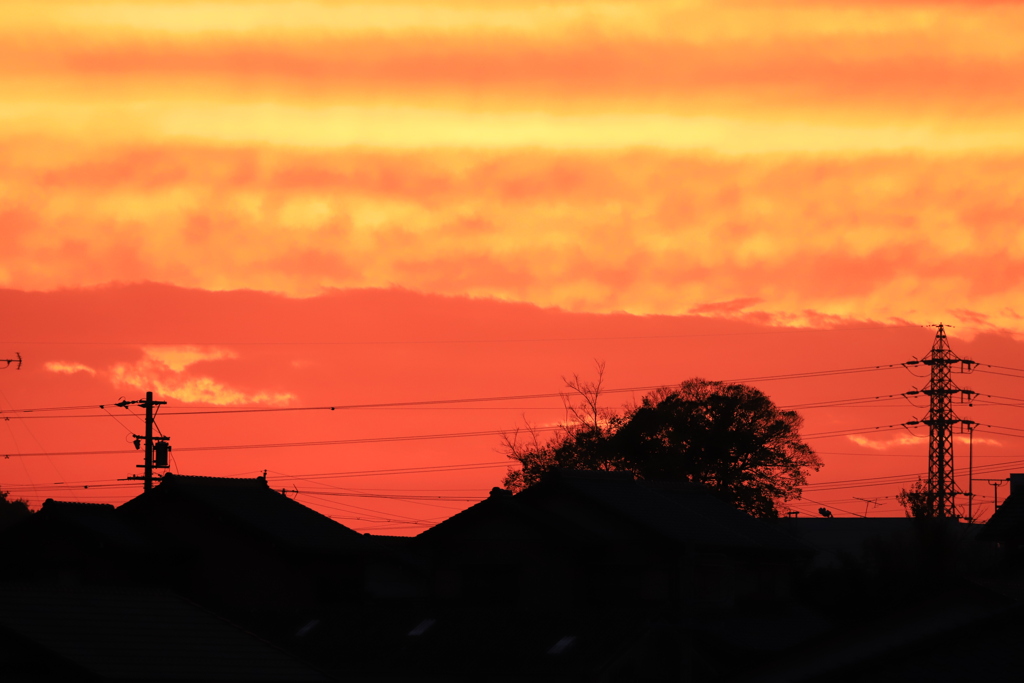 夕日