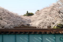 DPP_0004