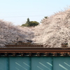 DPP_0004