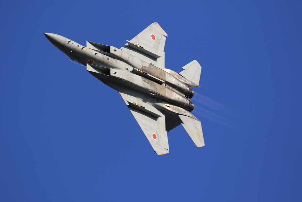 岐阜基地　F15