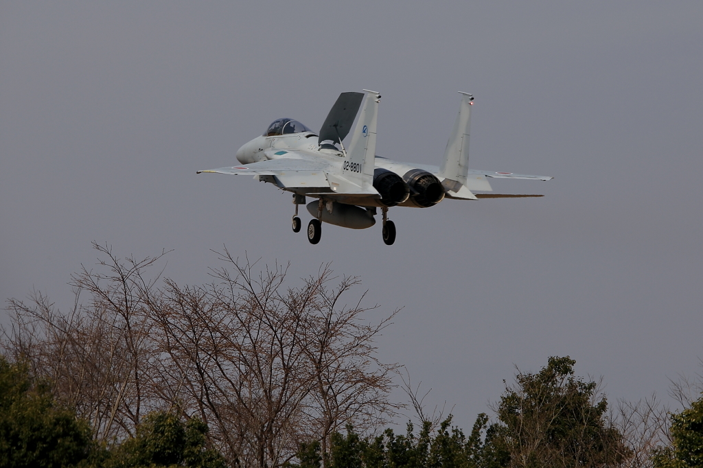 F15