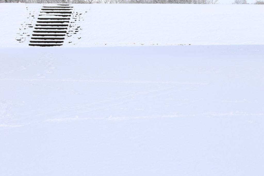 雪景色