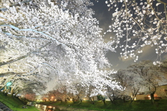 各務原市　境川