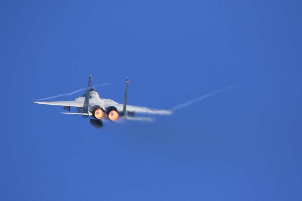 2015 岐阜基地　航空祭  F15