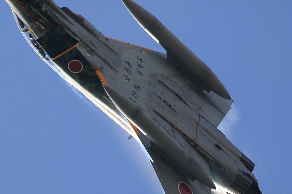岐阜基地航空祭　F4