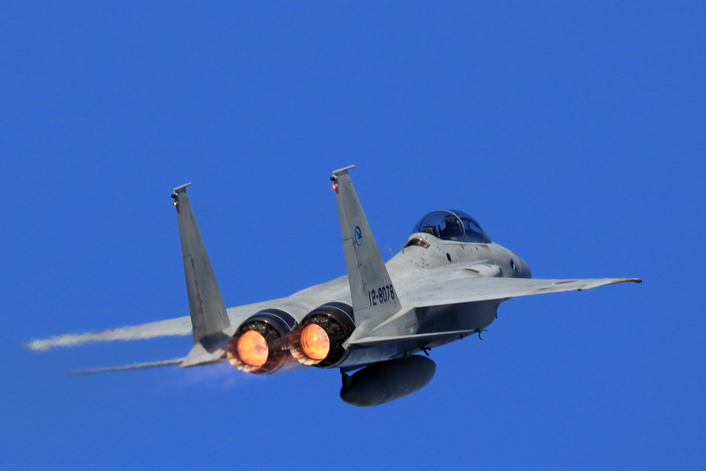2018 岐阜基地航空祭 F15