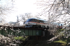 DPP_0002