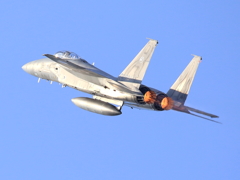 2014　岐阜基地　航空祭　Ｆ-15