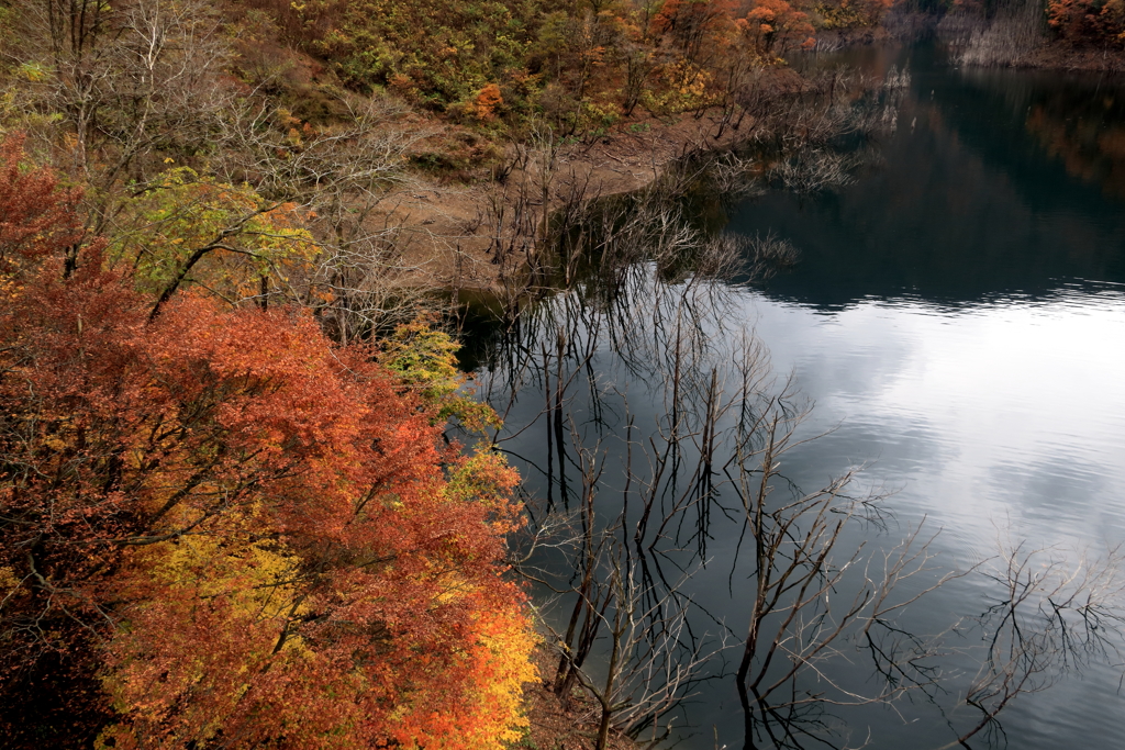 紅葉のダム