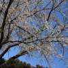 DPP_0003