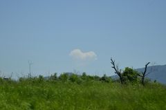 幸雲