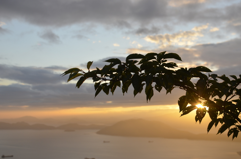 雨上がりの夕暮れ