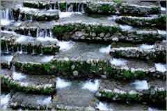 fish ladder