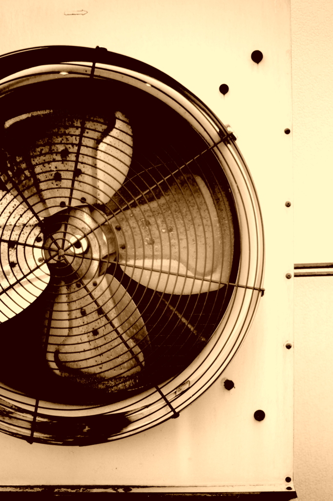 fan