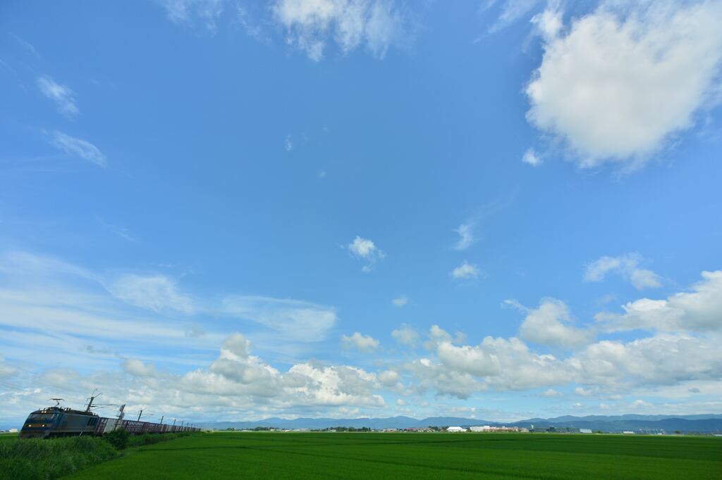 大雨の後の庄内平野