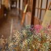 かすみ草のある廊下