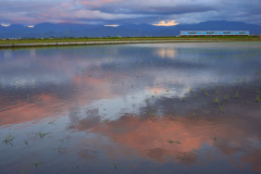 田んぼの中に茜雲