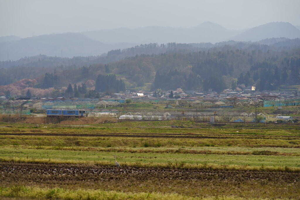 里山の春
