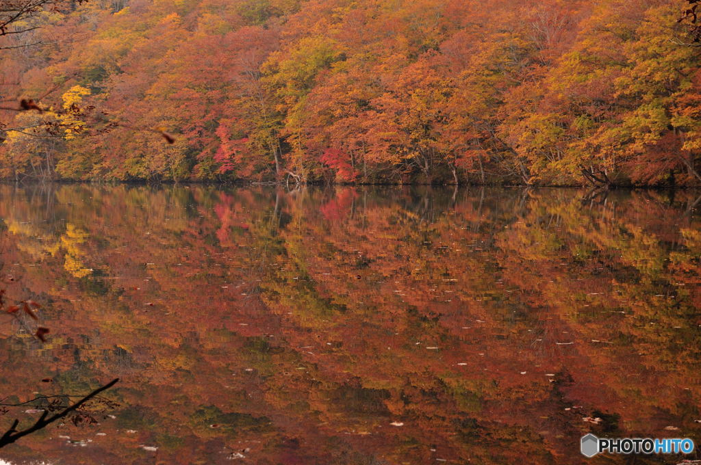 錦秋　蔦沼