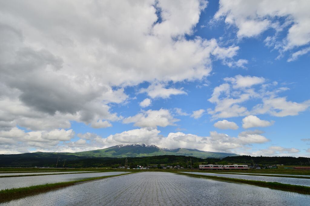 初夏の風と光と影