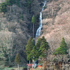 春の白糸の滝