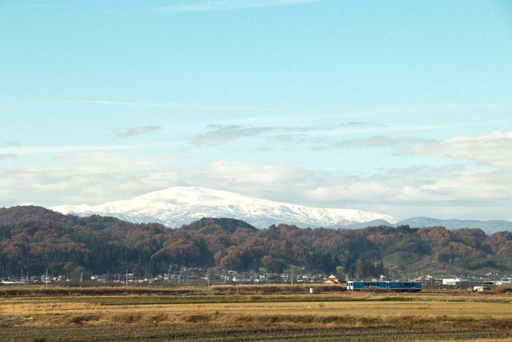 雪が降りてきました