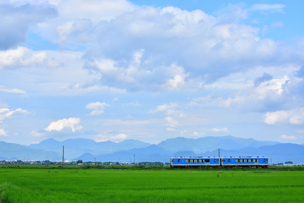 夏のおもひで