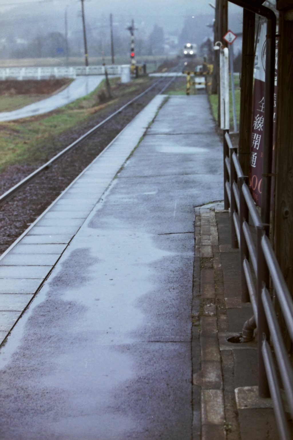 春の雨のホーム