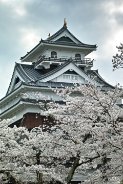 上山の春