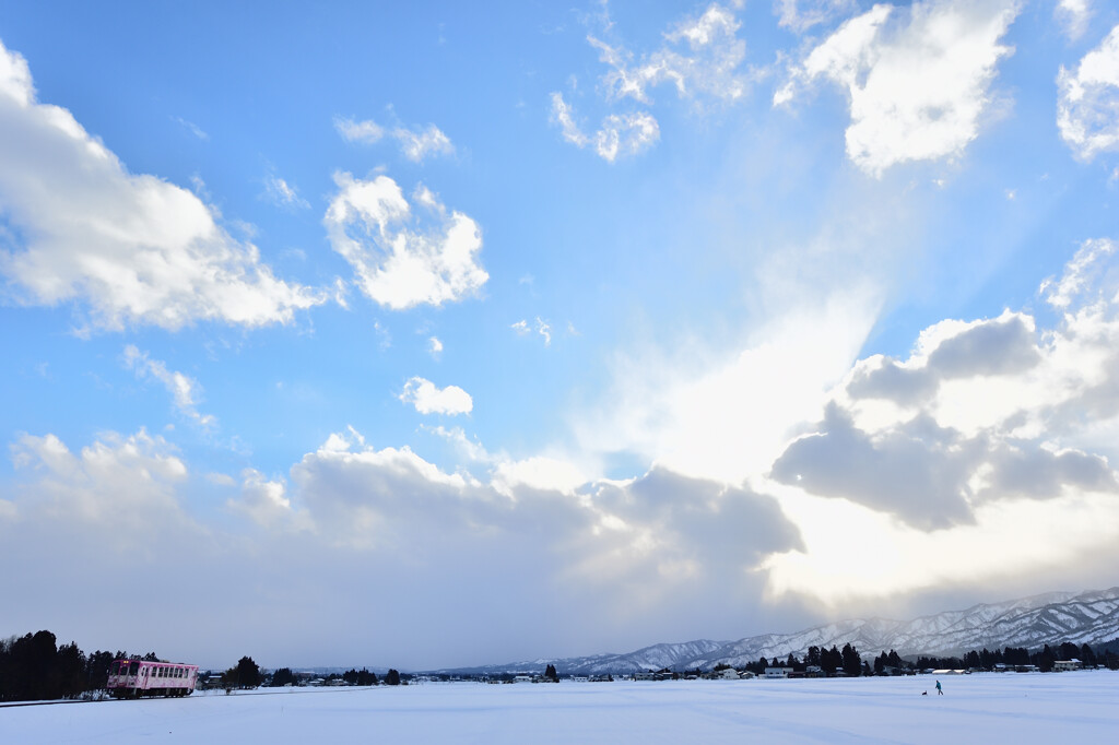 雪原のお散歩