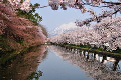 弘前城外堀より岩木山を望む