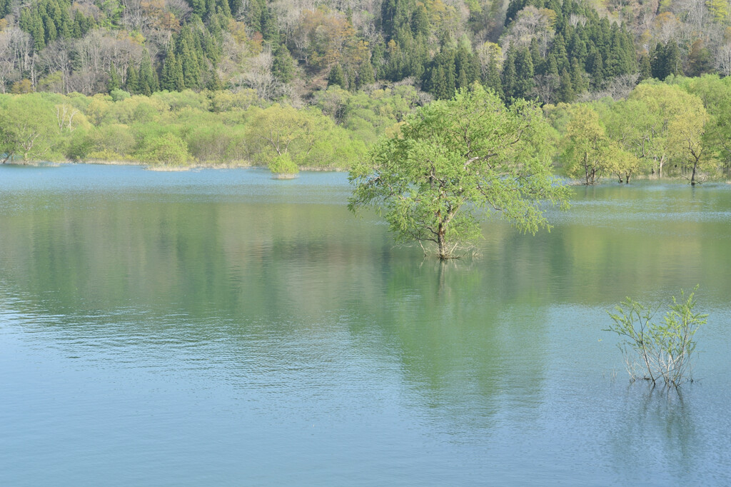 春の風景