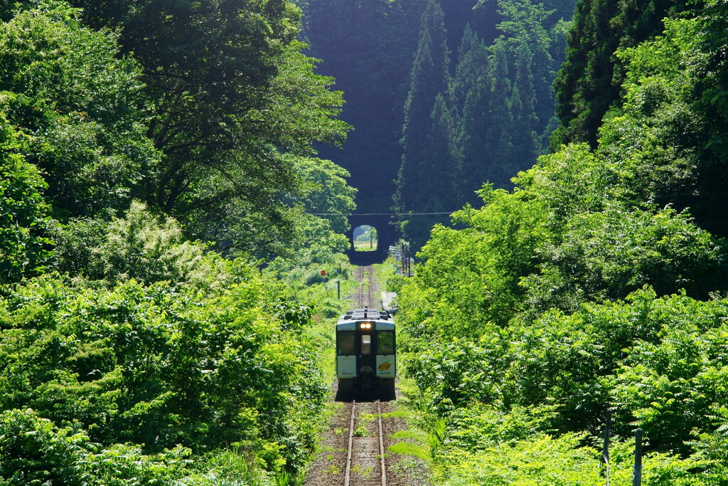 羽前前波の夏