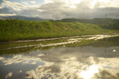 雨上がり