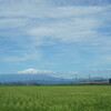 37℃