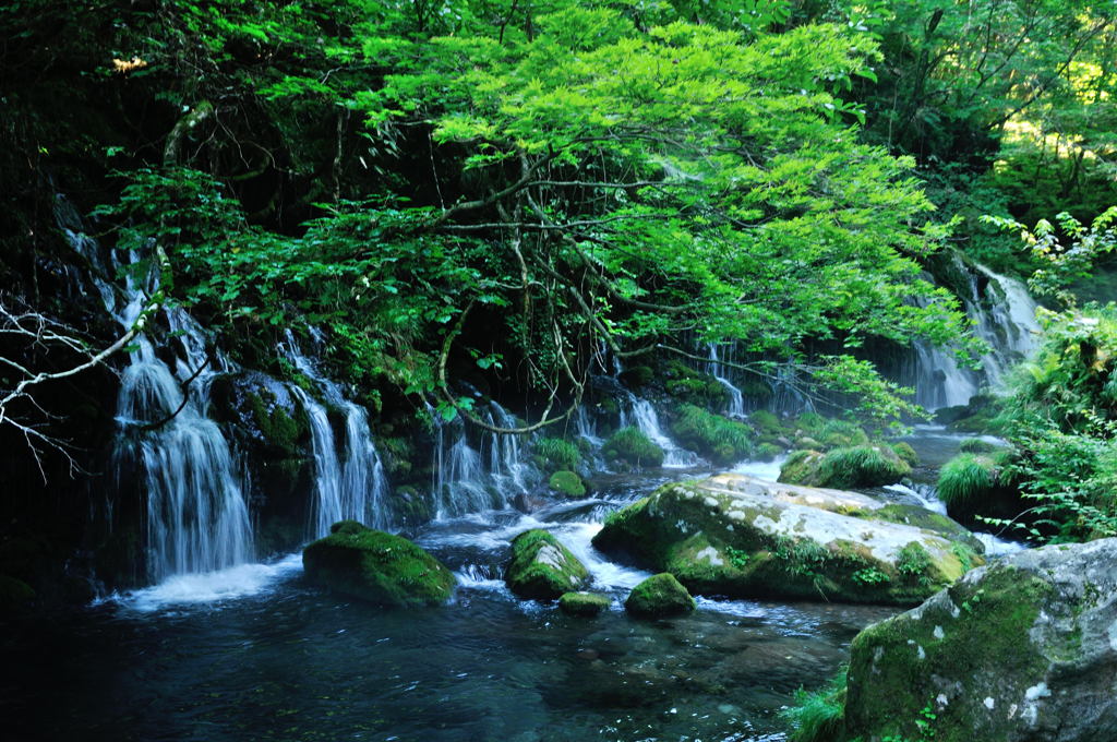 元滝伏流水