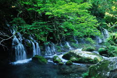 元滝伏流水