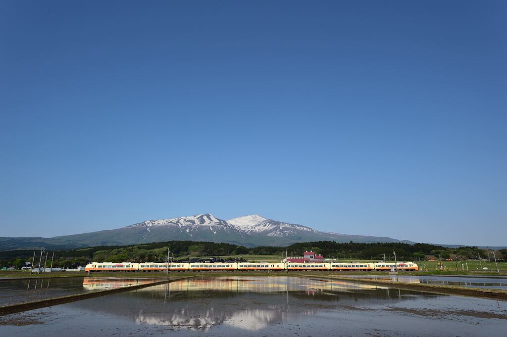 初夏の風景