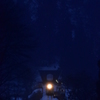 1月の雨