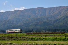 山里の秋　蚕桑駅付近