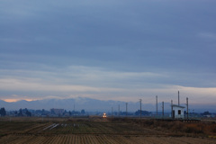 白兎情景