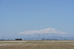 鶴岡から見る鳥海山