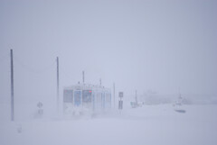 吹雪を走る